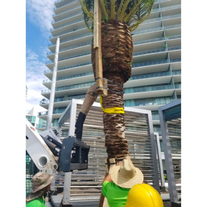 Skid Steer Tree Boom Attachment | Virnig - Image 2